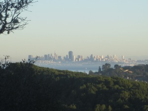 City views from Camino Alto on Corte Madera Ridge.